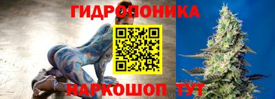 крисы Обь