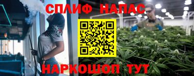 mdpv Обнинск