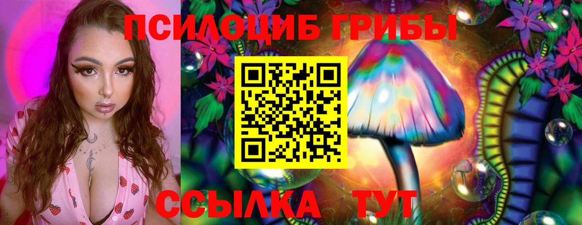 Псилоцибиновые грибы Cubensis  Вход с VPN  Белогорск 